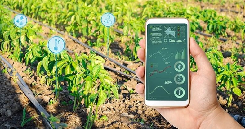 Why Do We Need Smart Irrigation? (All You Need To Know) - Climatebiz